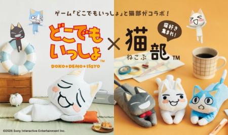 人気ゲーム『どこでもいっしょ』とフェリシモ「猫部(T 人気ゲーム『どこでもいっしょ』とフェリシモ「猫部(T
