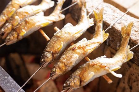 夏の風物詩、葉山で鮎を味わう特別な五日間『お庭の縁