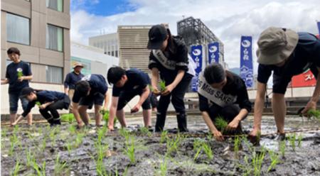 東京・銀座のビル屋上に広がる「白鶴銀座天空農園...