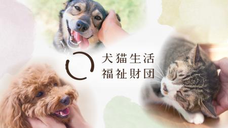 【犬猫生活福祉財団】犬猫の保護・譲渡活動などを行う