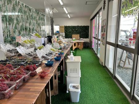 【大阪・柏原】「試食しないと買えない」ぶどう直売所