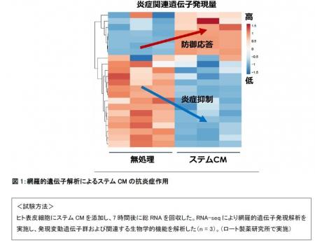 再生医療研究から生まれたペプチド化セクレトーム「ス 再生医療研究から生まれたペプチド化セクレトーム「ス