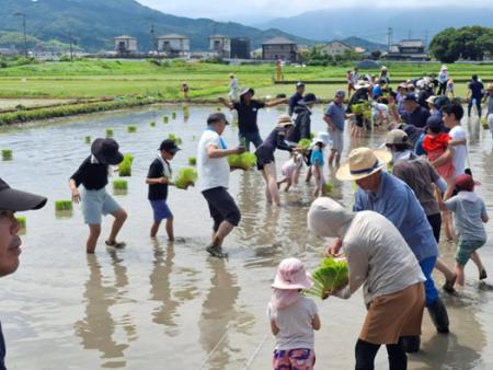 グリーンコープの米生産者の田んぼで「田植え体験」を グリーンコープの米生産者の田んぼで「田植え体験」を