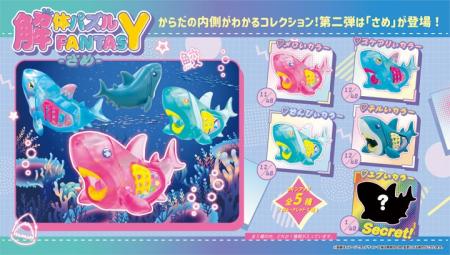 おなかの中まで、かわいい。分解すると”食べたもの”が おなかの中まで、かわいい。分解すると”食べたもの”が