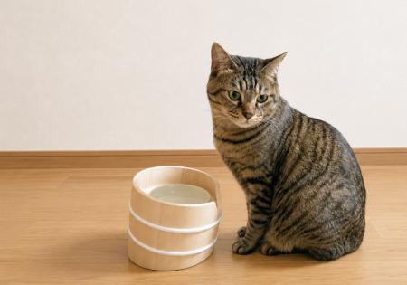 愛猫にもっと快適な食事時間を。創業111周年の老舗桶 愛猫にもっと快適な食事時間を。創業111周年の老舗桶