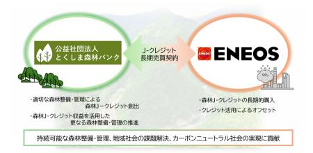 とくしま森林バンクとENEOSが森林由来J-クレジットの