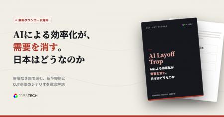【AIと経済・雇用】株式会社IDEATECH、インサイトレポ