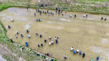 ヤマタネとARTH、長坂の棚田(富山県氷見市)で地域活 ヤマタネとARTH、長坂の棚田(富山県氷見市)で地域活