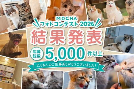 【応募総数5,000件超！】猫カフェMOCHA「MOCHAフォト