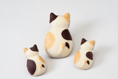 【両国発の人気焼き菓子専門店】猫フィナンシェと和モ