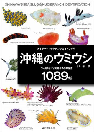 【DNA解析による最前線の分類】沖縄で見られる1089種