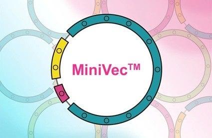 VectorBuilderとMaxCyte(R)が戦略的パートナーシップ VectorBuilderとMaxCyte(R)が戦略的パートナーシップ