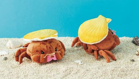 全国のカニファン必見！？ 貝殻を背負ったまんまるな“
