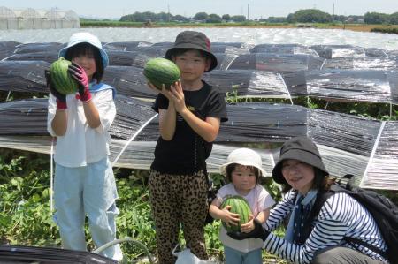 子どもたちが生産者とともに収穫体験 八千代町で「メ 子どもたちが生産者とともに収穫体験 八千代町で「メ