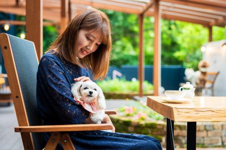 リブランドオープン「別府 丘と海のドッグリゾート」