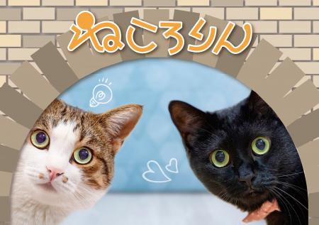 猫好き集まれ！愛眼の「ねころりん」メガネに公式キャ