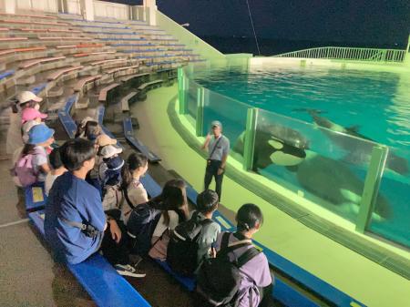 【夏休みの過ごし方】7/27出発 夜の水族館！鴨川シー