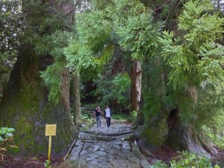世界遺産・熊野古道で「距離ゼロ合宿」を実施