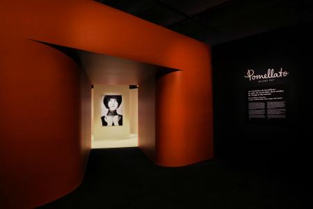 ポメラート、パリで初開催となる展覧会にて新作ハイジ