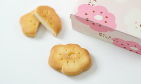 和菓子になった、テキスタイルデザイン