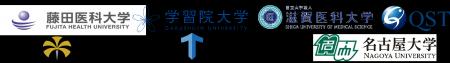 3D VRナビ課題の評価が1年後の脳萎縮を予測