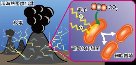 【横浜市立大学】深海熱水噴出域に電気エネルギutf-8