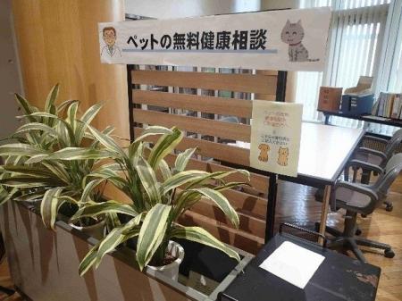 【６月２7日（土）開催】「るもい保護犬猫譲渡会２０