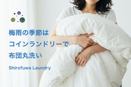 梅雨時期の「布団洗濯」需要が急増　しろふわランドリ