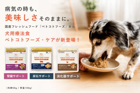 「食べない療法食」を、完食へ。国産フレッシュの犬用