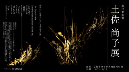 現代美術家 土佐尚子展、京都市京セラ美術館「光の広