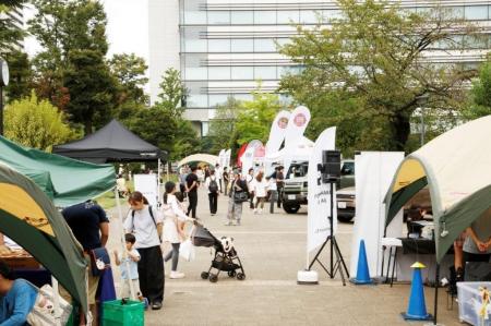 ポルシェやベンツなど人気ブランドが集結。正規輸入車