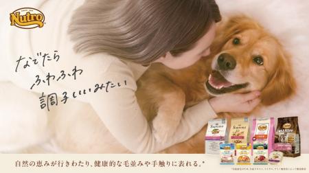 愛犬・愛猫の健康のサインを、毛並み・毛づや・utf-8