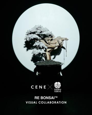 【CENE(セネ)】RE BONSAI(TM)を手がけるアートブラン