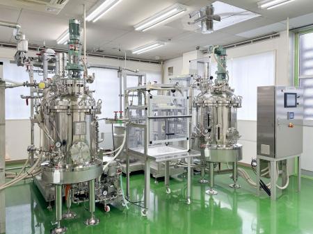 無菌人工飼料で量産化した「みどり繭」× 過酷な環境を