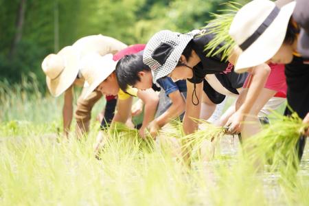 「竹林のスコレー」4年目の御田植祭＆手植え体験イベ