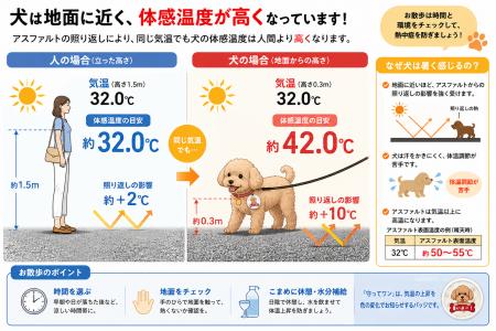 酷暑・猛暑で増える犬の熱中症。製造現場を中心に累計