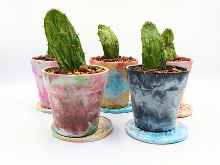 「GREEN MARKET FUKUOKA」初の福岡開催にPrecious Pla