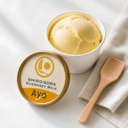 子どもの栄養不足に着目した「完全栄養アイス」を発売