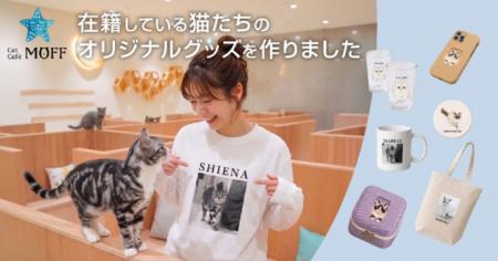 737頭の「推し猫」たち、それぞれの魅力を商品化！22,