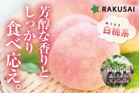 完売必至！Playest　JAPANさんが作る 『朝採れ桃 白桃