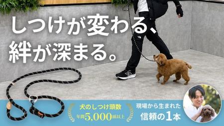 犬の散歩マナー向上と飼い主教育を支える、犬のしつけ