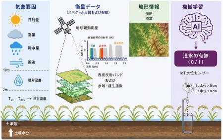 水田の“見えない表面水”を可視化 クレアトゥラ、衛星