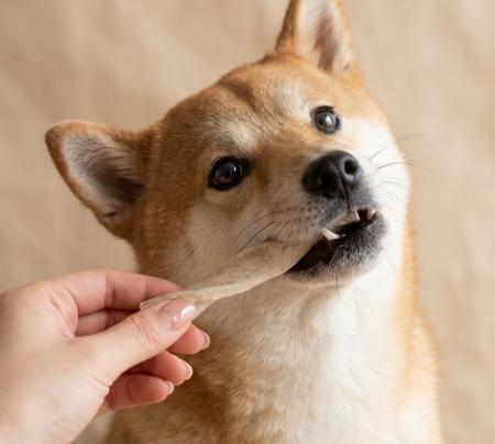 【新商品／犬用ガム／国産】『モチモチ食感』新しい発