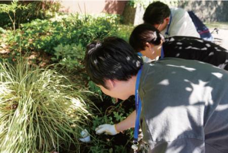 日比谷公園でのSynecoculture(TM)春の植栽実施のお知