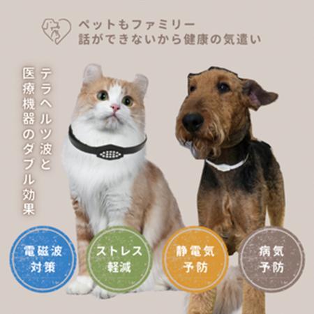 “日本の宝を発掘する”視点から、株式会社ボルテutf-8
