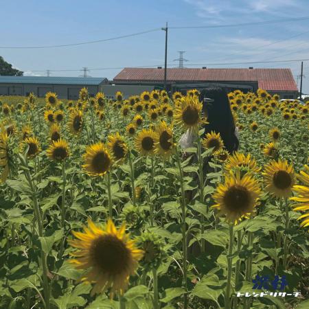 【2026年夏の特大号】全15項目！最新トレンドTOP10！