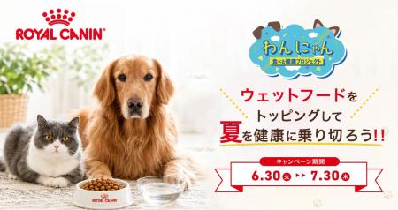 「ロイヤルカナン×ペテモ　わんにゃん食べる健康プロ