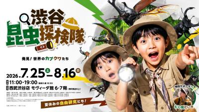 渋谷で日中から「夜の昆虫観察」ができる体験型昆虫展