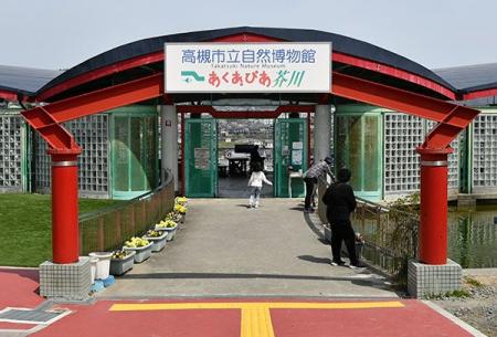 高槻市の自然博物館で身近な生き物「ダンゴムシ」が主