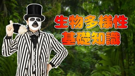 環境系エンターテイナー「WoWキツネザル」主演・五箇